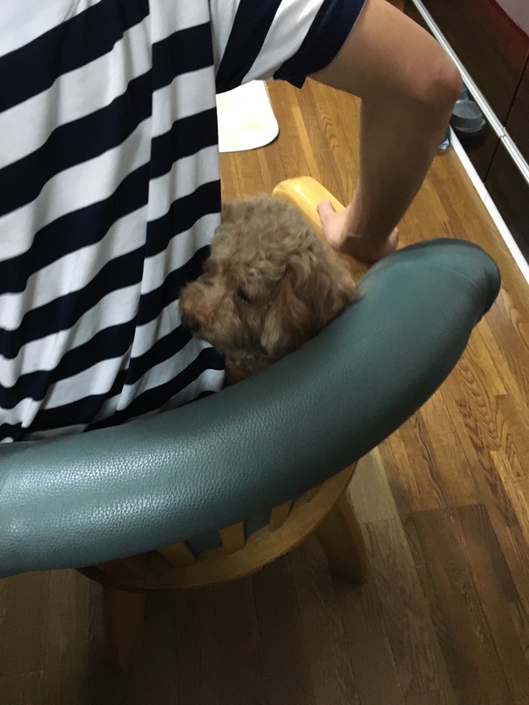 俺も一緒だワン