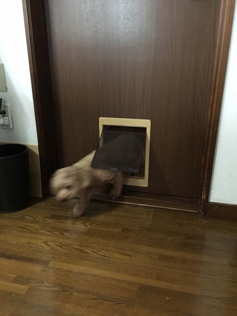 俺の扉をくぐり抜ける