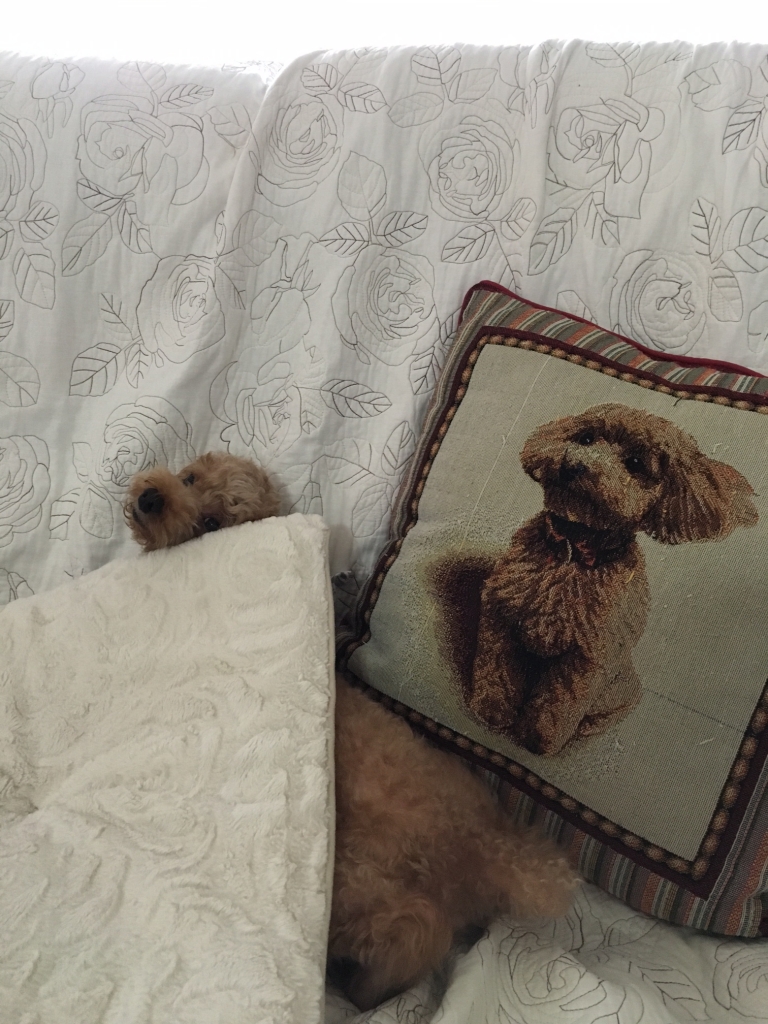 俺はどこか分かるかな