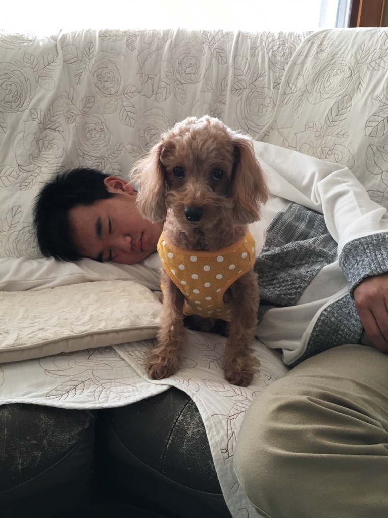 弟のことは、俺が守るワン