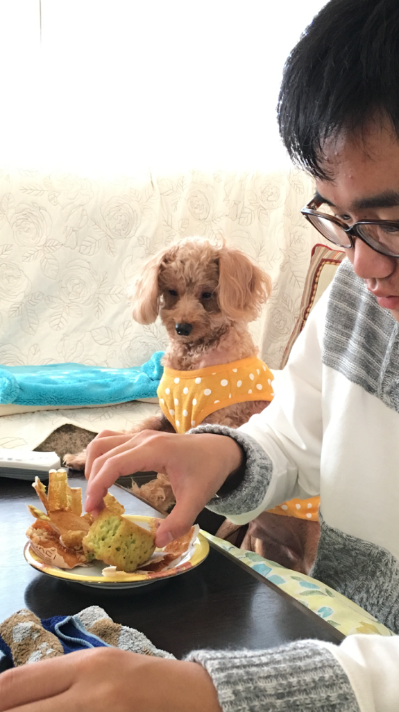 美味しそうだなワン