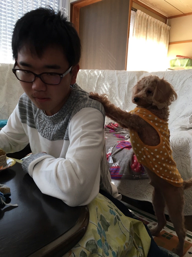 お兄ちゃんの言う事をちゃんと聞けワン❗