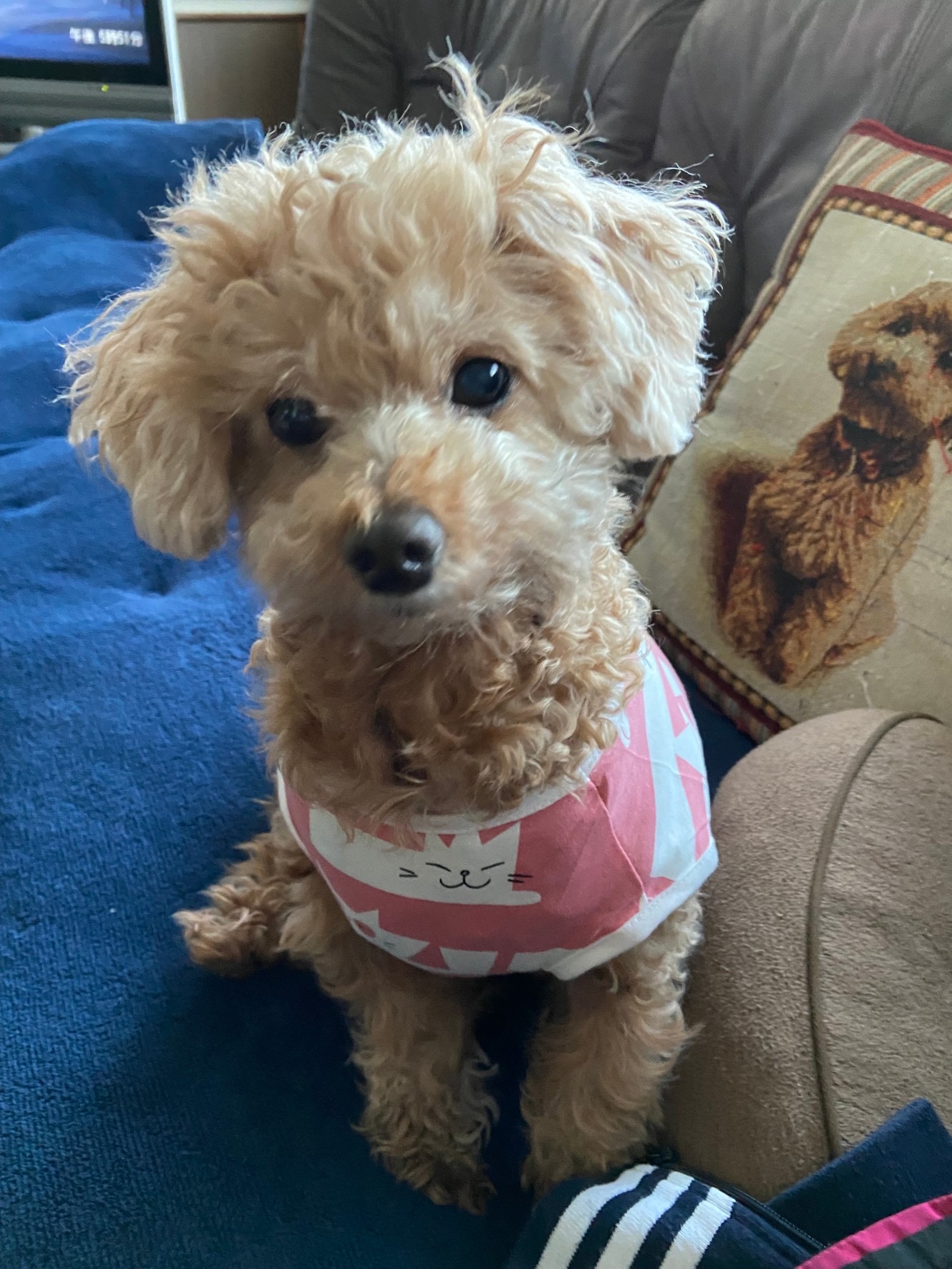 コロちゃん01_20220524